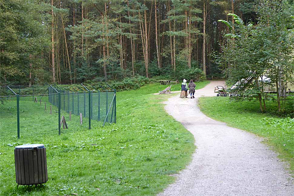 18-wanderwege in baerenwald-mueritz 