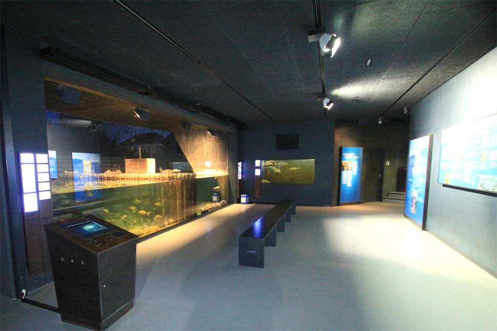 19-naturnahe-aquarien in mueritzeum 