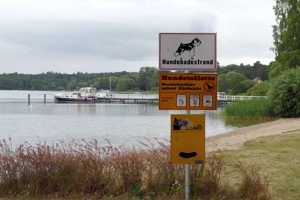 Hundestrände an der Müritz in der Mecklenburgischen Seenplatte
